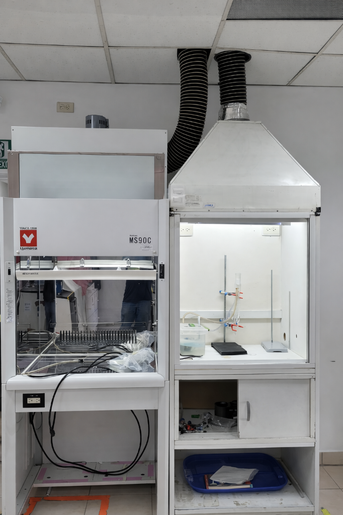 Sistema de Extracción